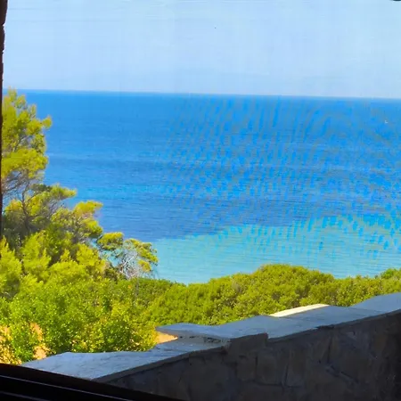 The Summer House *
