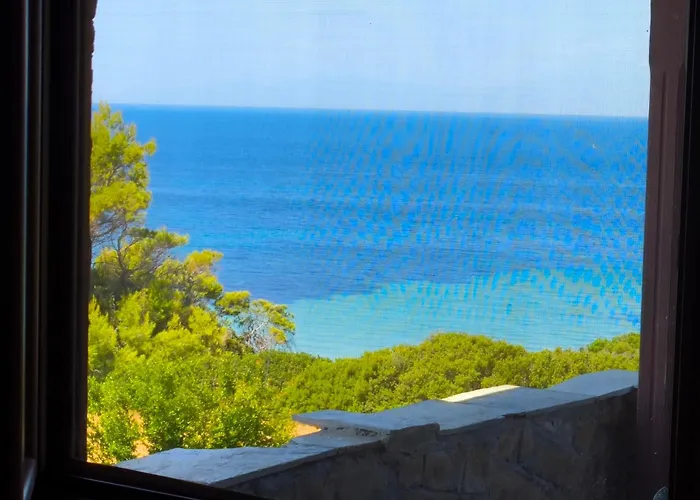 The Summer House *